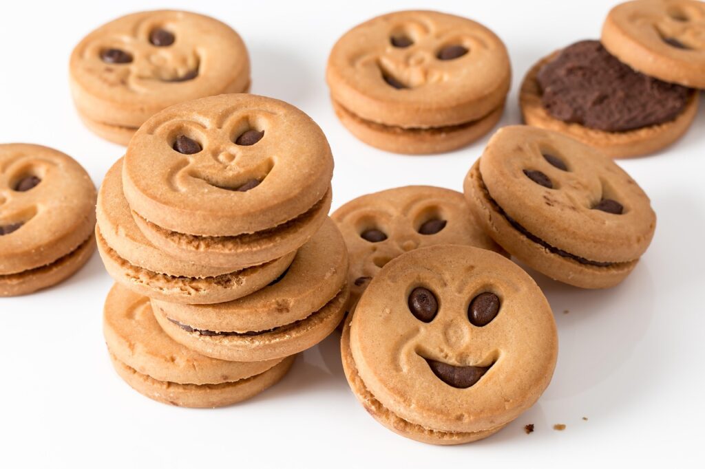 cookie biscuit